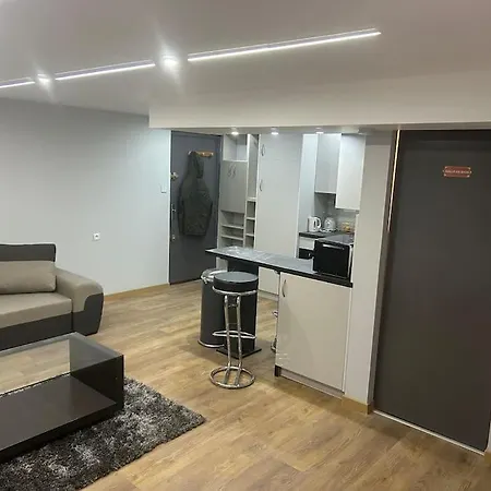 Appartement Agreable Robertsau Strasbourg Exterior photo