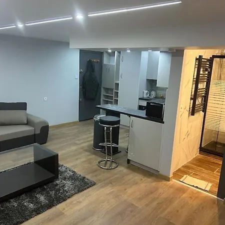 Appartement Agreable Robertsau Strasbourg Exterior photo