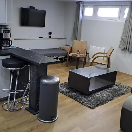Appartement Agreable Robertsau Strasbourg Exterior photo